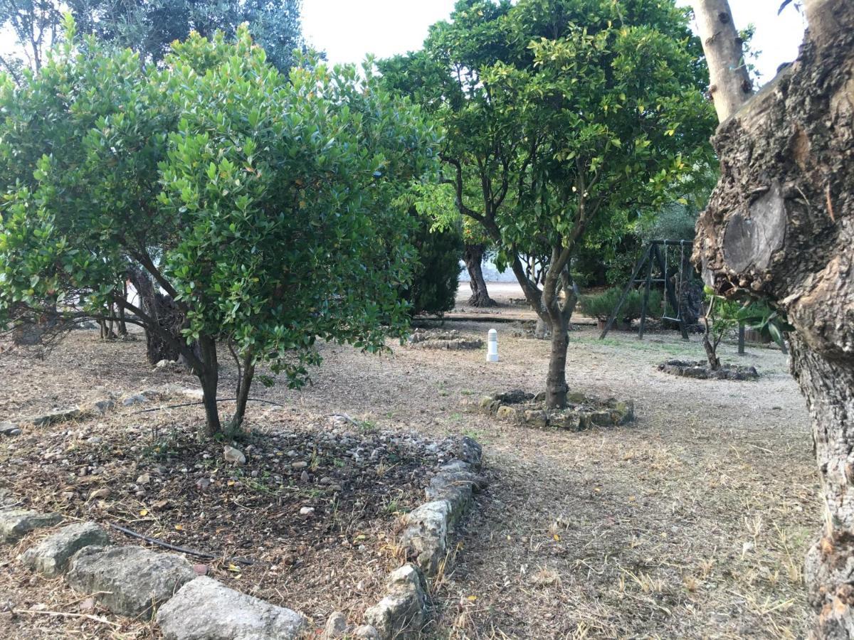 Paialvo Quinta Do Lagar De Sao Jose旅馆 外观 照片